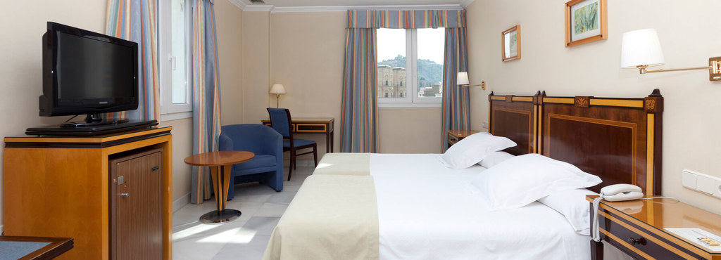 Double Room (Twin bed)