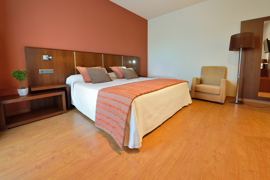 Standard Double Room for Single Occupancy