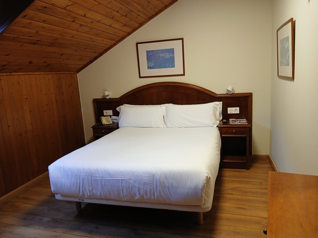 Standard Attic Room (Double Bed)