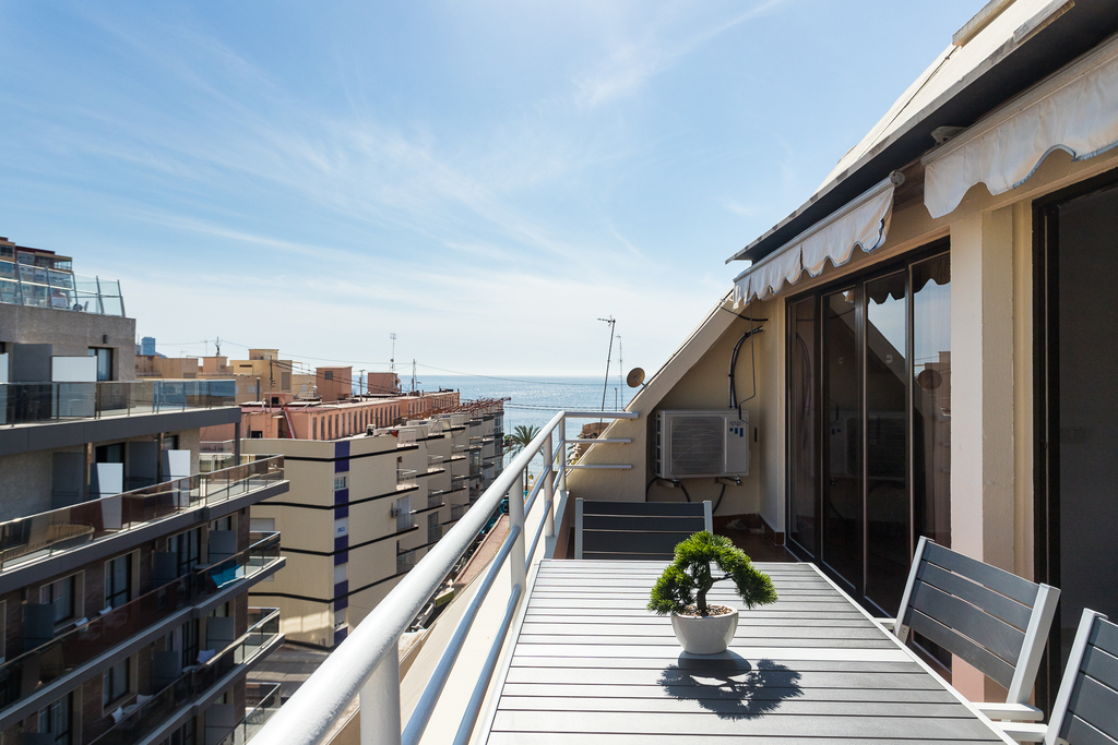 Zeus Gran Terraza