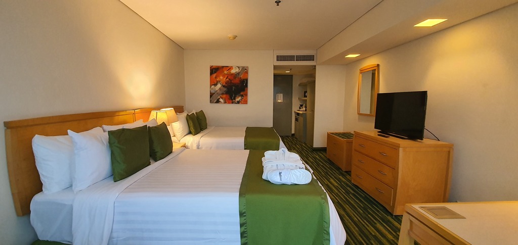 Ejecutiva 2 Camas Matrimoniales