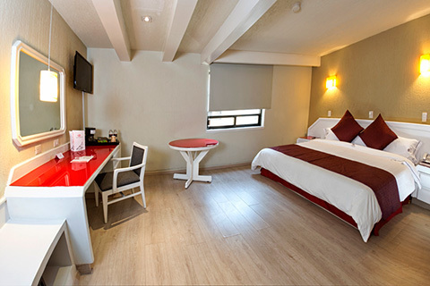 Habitación con Cama King Size