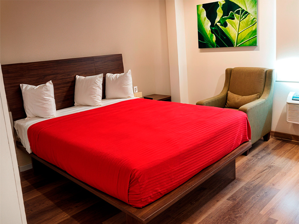 Suite con cama grande - Extended Suites