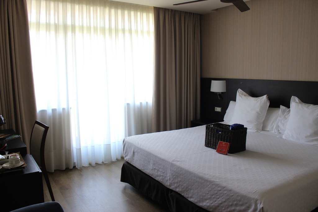 Single occupancy double room with sun terrace