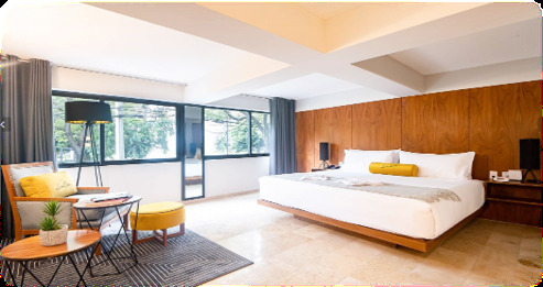 Park View Suite