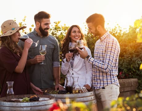 Wine tourism getaway, visit to a winery with wine tasting