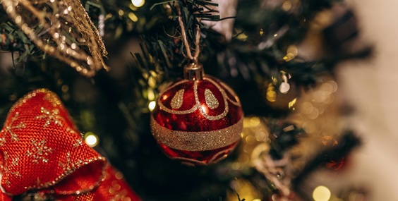Celebra la Nochebuena 