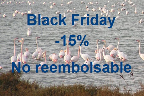 BLACK FRIDAY 2025 -15% NON-REFUNDABLE