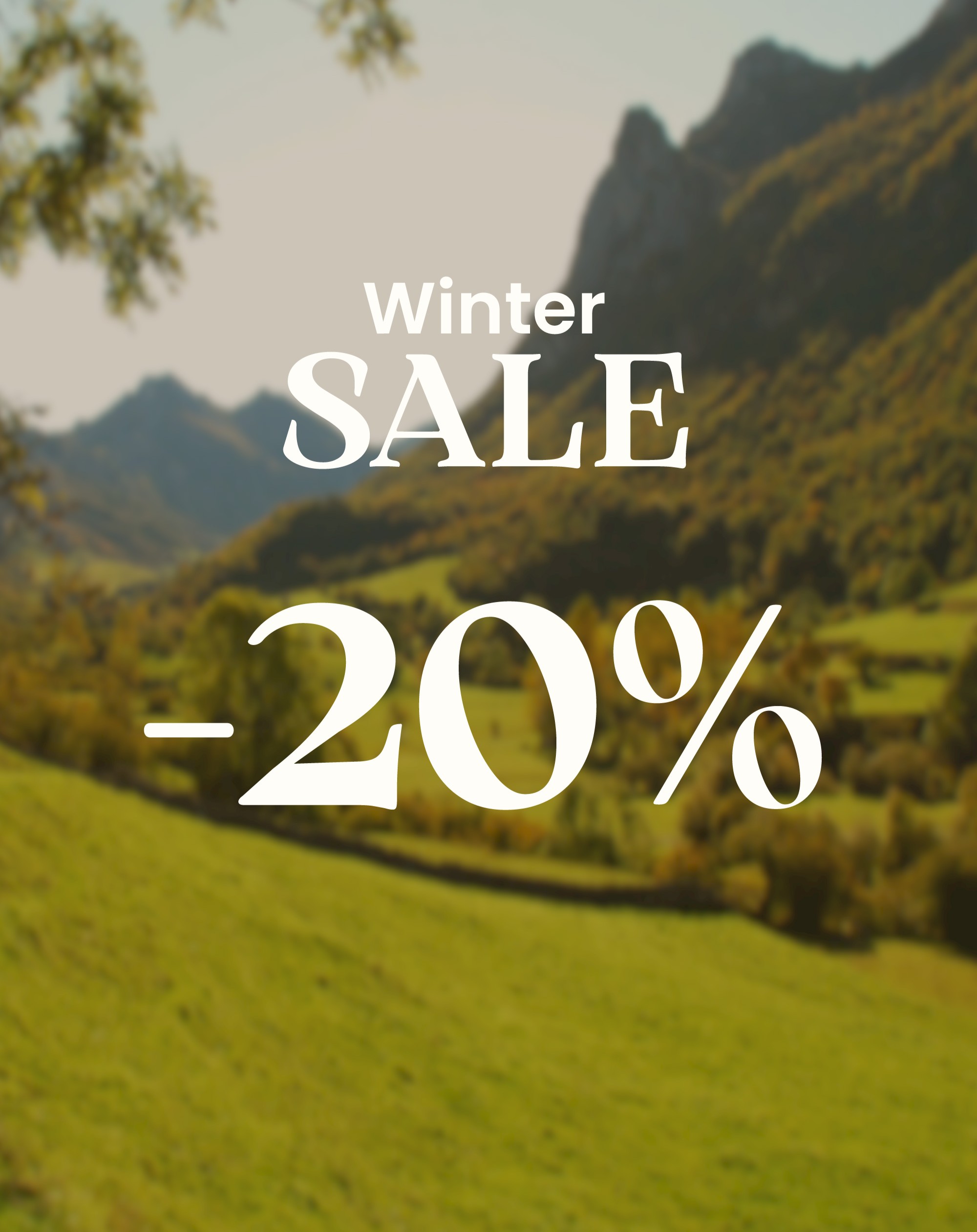 https://images.mirai.com/OFFERS%2FHOTELS%2F100363918%2FWinterSale.jpg