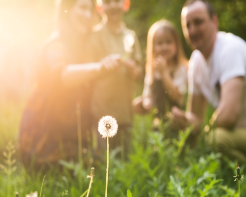 Mountain Escape with a Free Guided Hike
