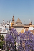 Long stay-15 nights