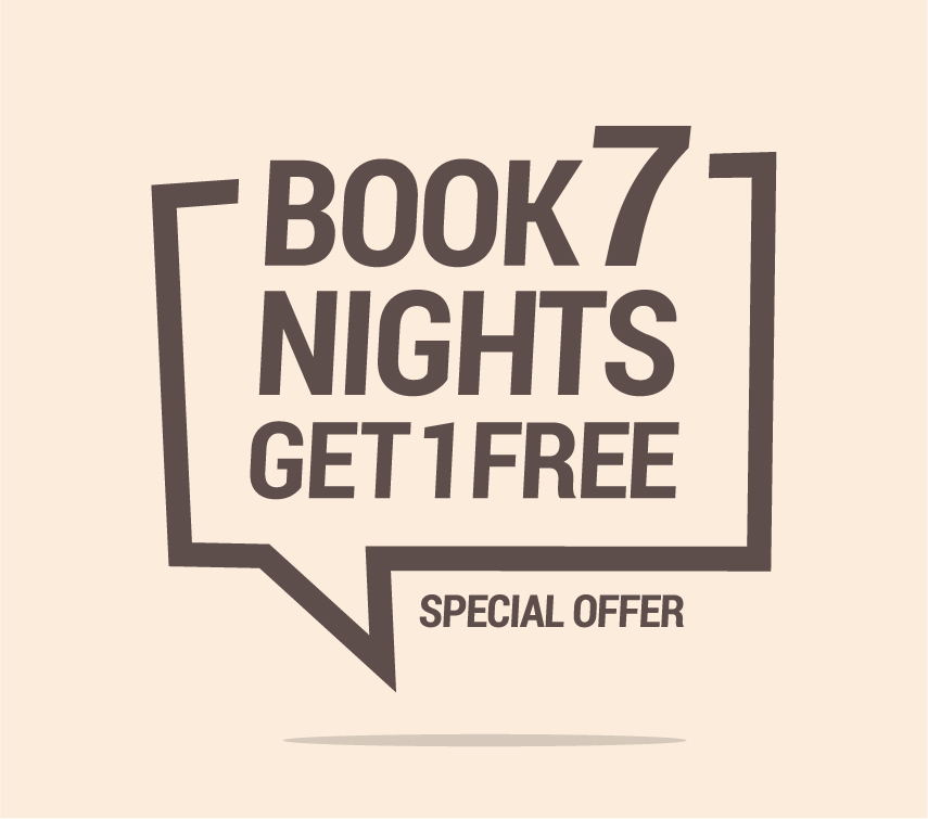 Free Nights Special