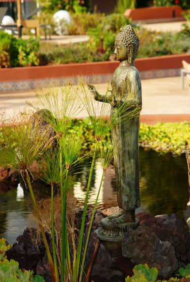 Holistic Retreat - March to October