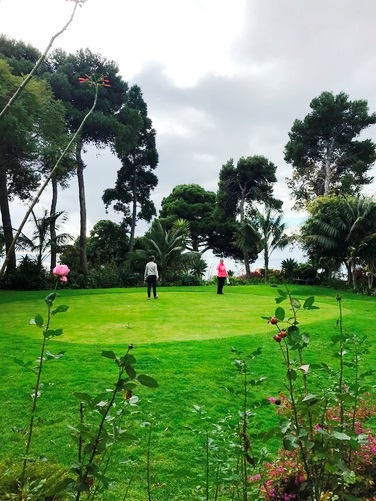 Golf Madeira Greens - March to October