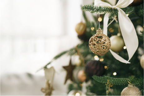  Christmas Experience