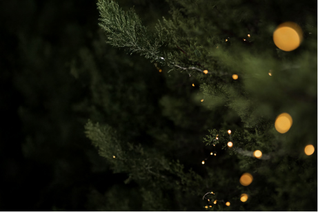 Christmas Package - Almoço