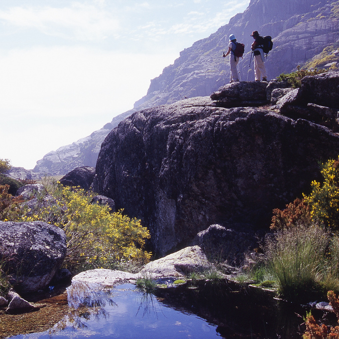 Vacaciones escolares