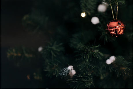 Christmas Experience