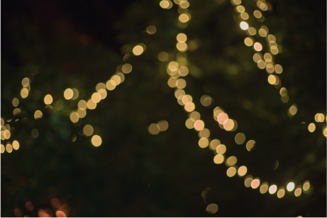 Christmas Experience - Almoço