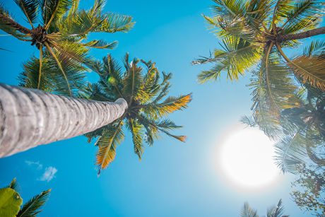 Summer + relaxation = Special promo just for you! 🌞