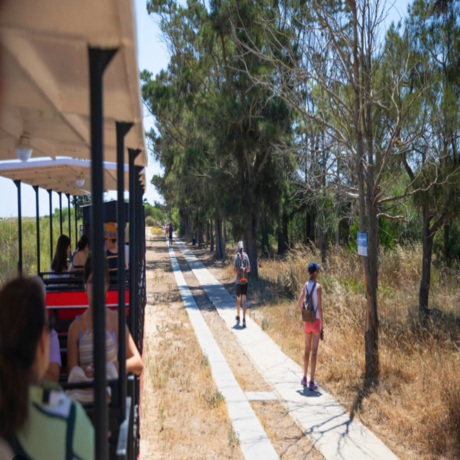 Viva a Natureza - Caminhada Interpretativa