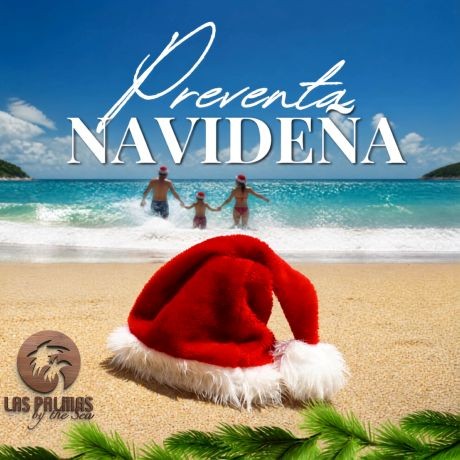  "The Perfect Gift Has an Ocean View" 🏝️☀️🏖️🎅🌲