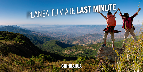 PLAN YOUR TRIP LAST MINUTE