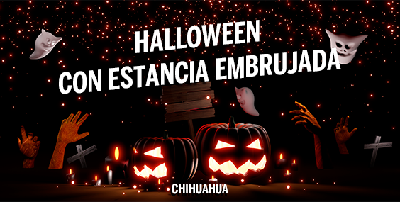 https://images.mirai.com/OFFERS%2FHOTELS%2F100379301%2Fhalloween%20CHIHUAHUA%20564X285.png