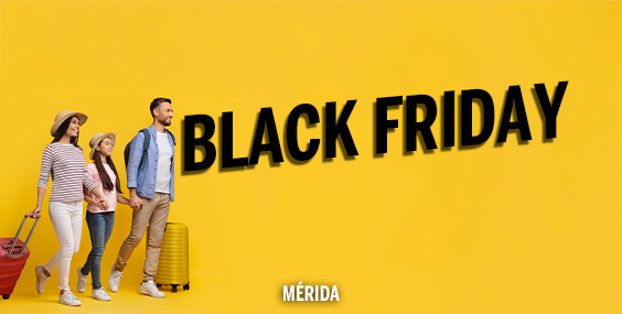 BLACK FRIDAY SALE