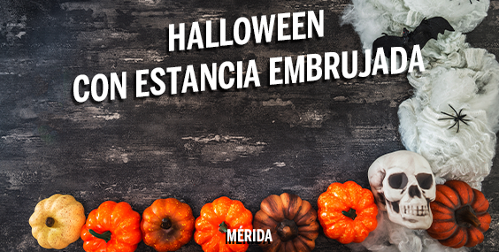 https://images.mirai.com/OFFERS%2FHOTELS%2F100379305%2FHALLOWEN%20M%C3%89RIDA%20564X285.png