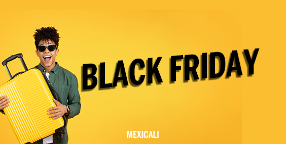 BLACK FRIDAY SALE