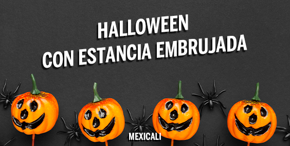 Halloween con Estancia Embrujada