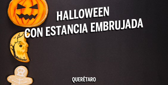 https://images.mirai.com/OFFERS%2FHOTELS%2F100379308%2Fhalloween%20queretaro%20564X285.png