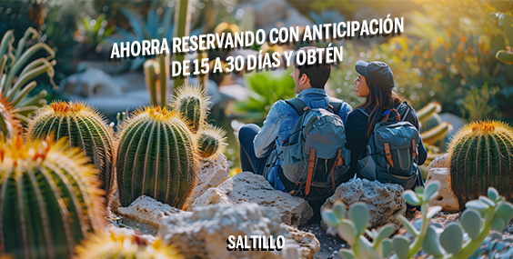 https://images.mirai.com/OFFERS%2FHOTELS%2F100379309%2F30%2015%20dias%20SALTILLO.png