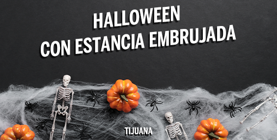 https://images.mirai.com/OFFERS%2FHOTELS%2F100379310%2Fhalloween%20%20tijuana%20564X285.png
