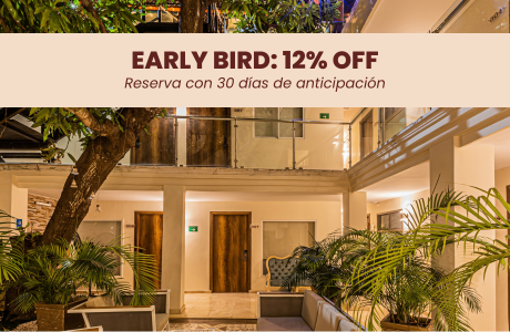 Early Bird