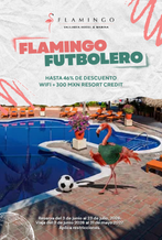 Flamingo Futbolero