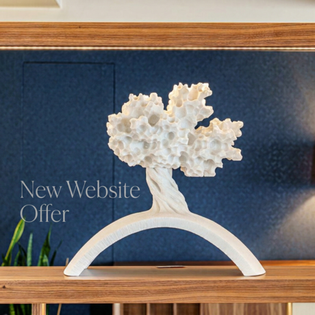 Oferta Especial Novo Website