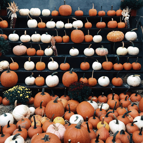 Halloween: Uma Noite de Mistério