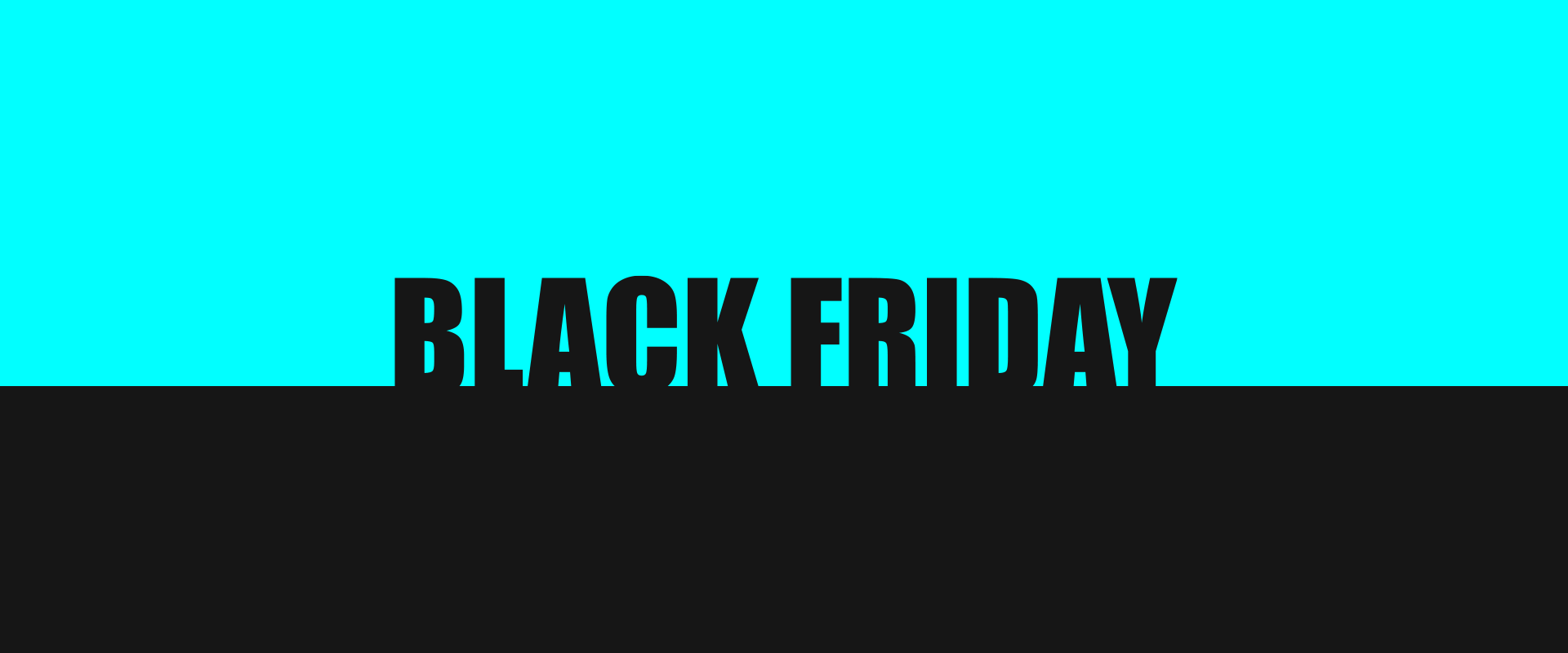 ¡BLACK FRIDAY! 