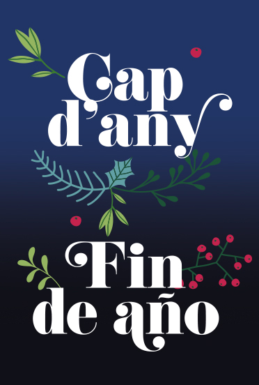 Paquete Fin de Año