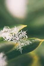 EBO 20% WINTER 26-27