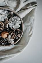 🍂 Ofertas Especiales en Alentejo