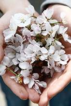 Santander with its own style 🌼