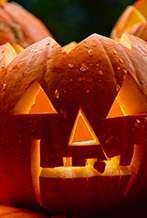 🎃👻 A LAST-MINUTE DEAL THAT’S SCARY GOOD!