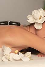 Otoño Increíble No reembolsable