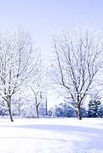 -20% WINTER OFFER