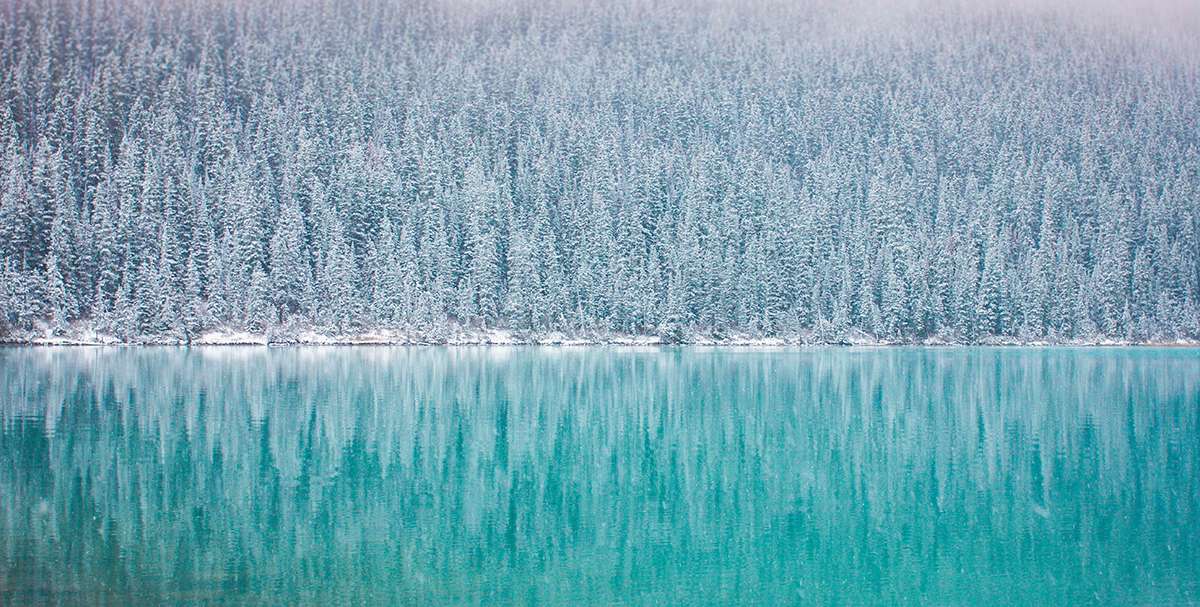 Winter Deal with Cancellation Insurance