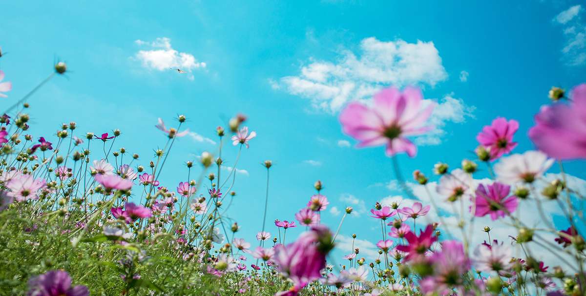 Last minute Deal NRF