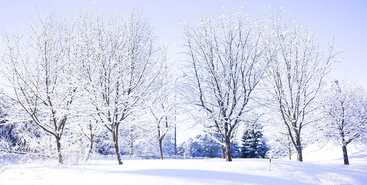GAUDEIX DE LA NEU!